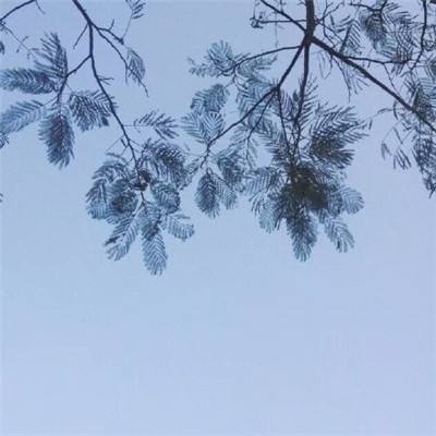 凌云无双手游官方版下载